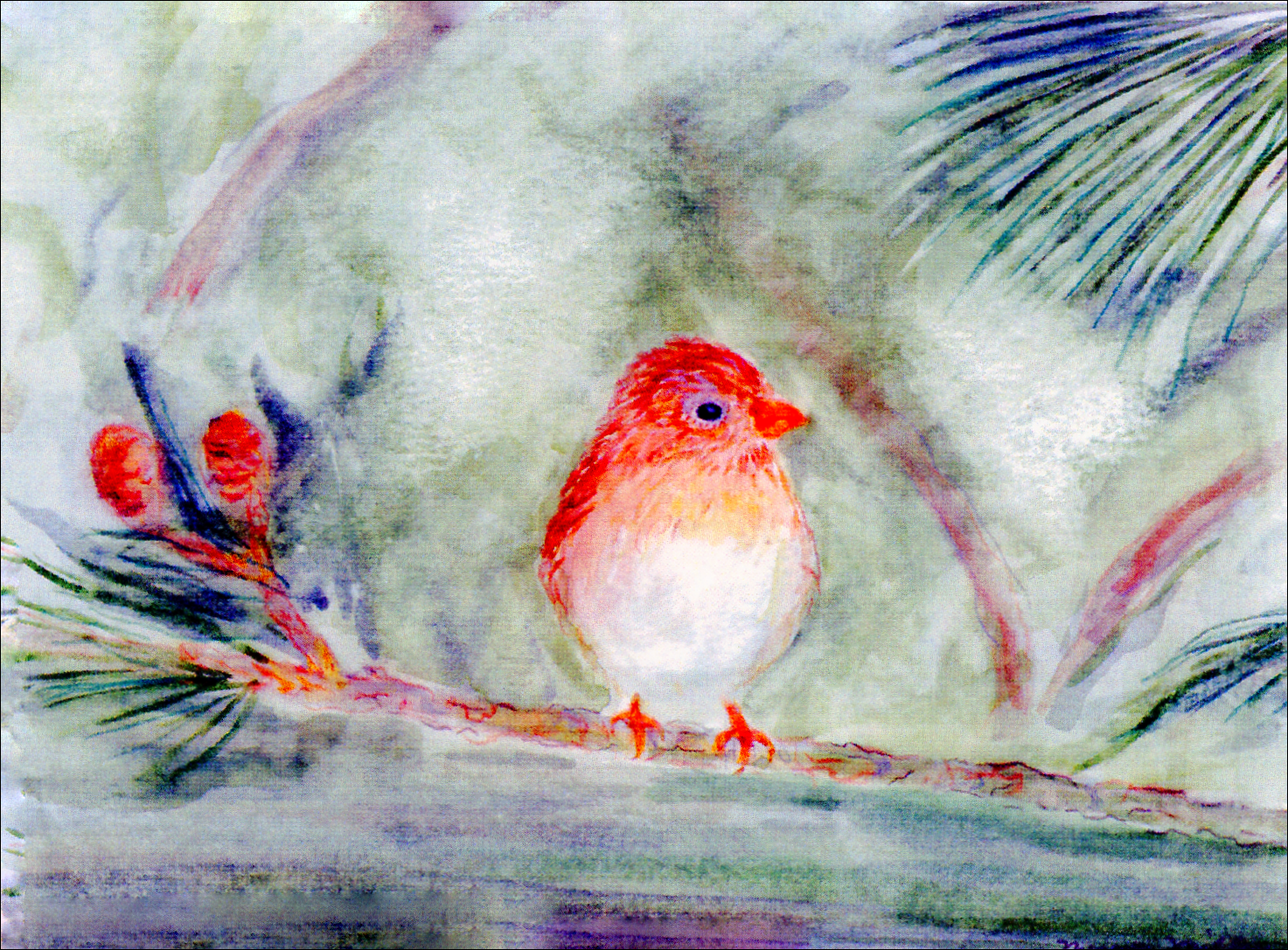 Sparrow