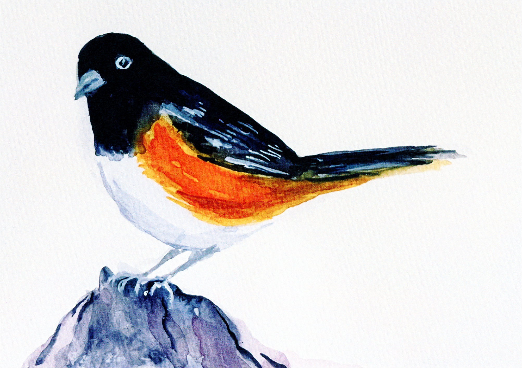 Spotted Towhee