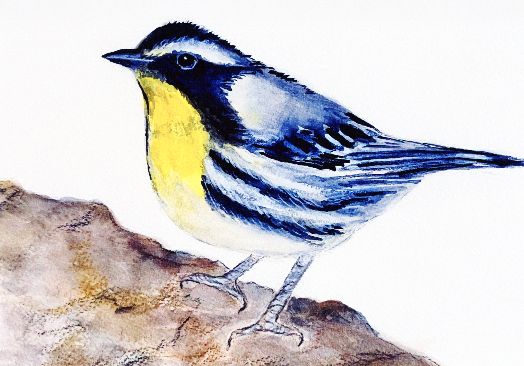 Yellow Throated Warbler